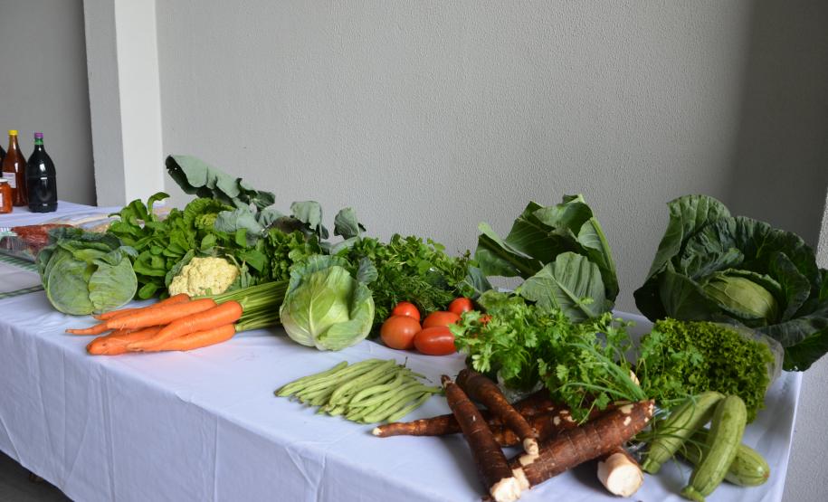 Cooperativa de Rio Azul ganha sede com recursos do Prorural