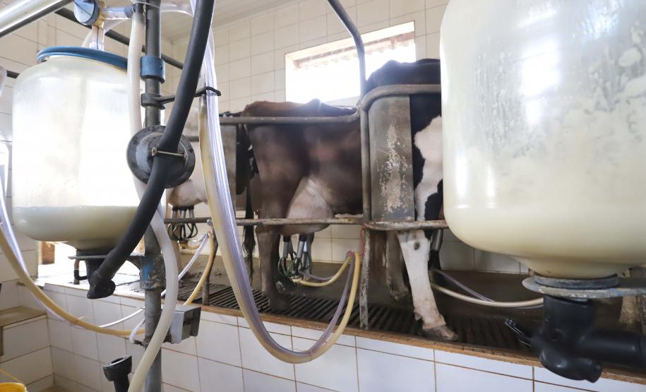 Programa Leite das Crianças completa 15 anos em Curitiba