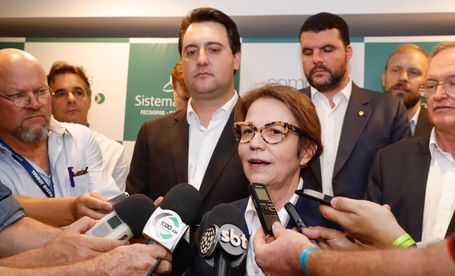 Ministério da Agricultura fortalece Paraná no mercado de carne suína