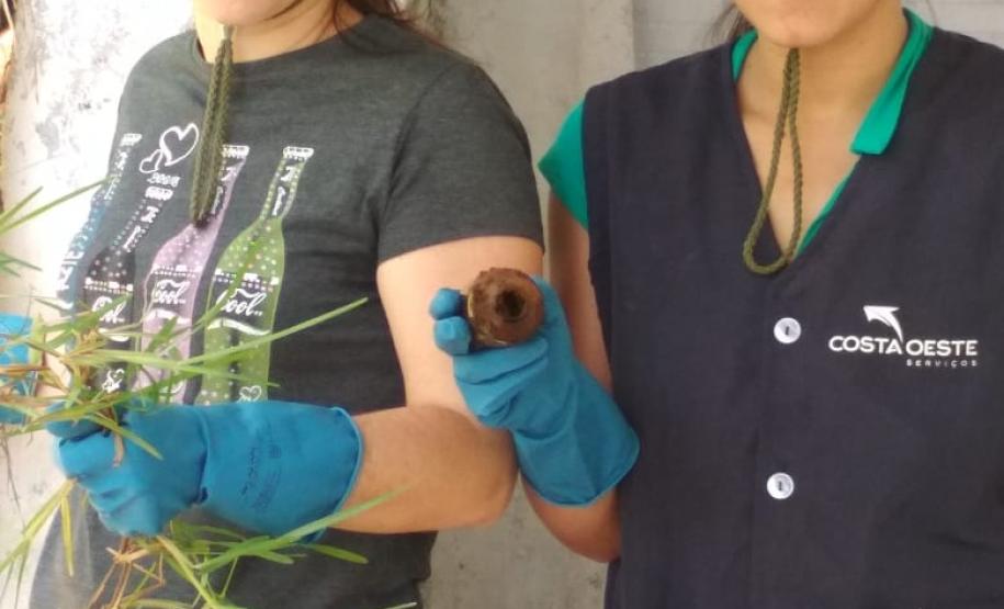 Seab participa de ação estadual contra a dengue - Pato Branco