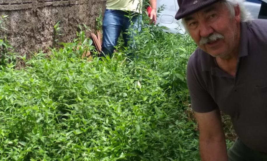 Seab participa de ação estadual contra a dengue - Pato Branco