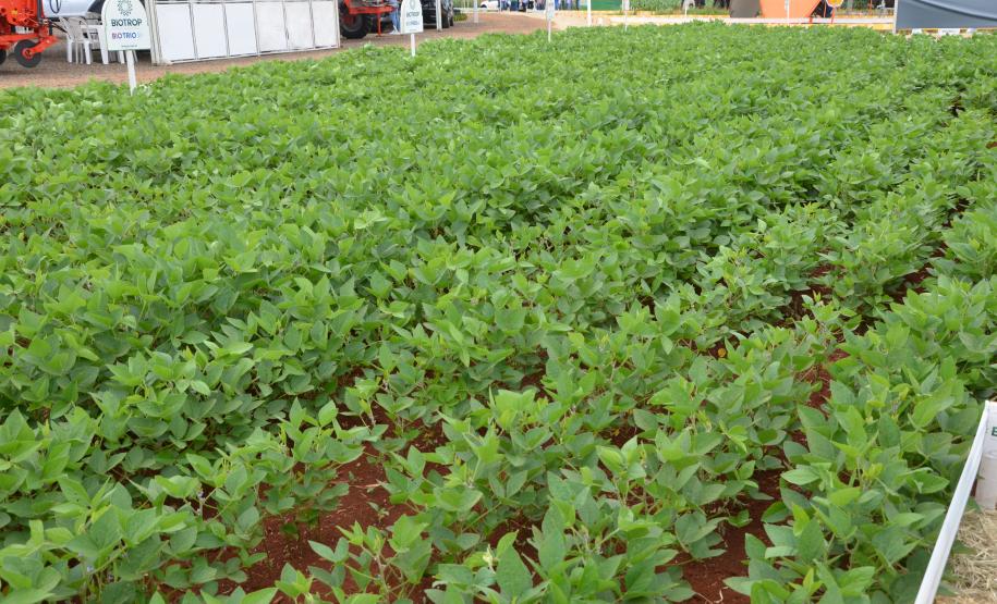 Dois eventos, a Safratec, em Floresta, e o Superagro, em Londrina, foram acompanhados por integrantes do Governo do Estado.