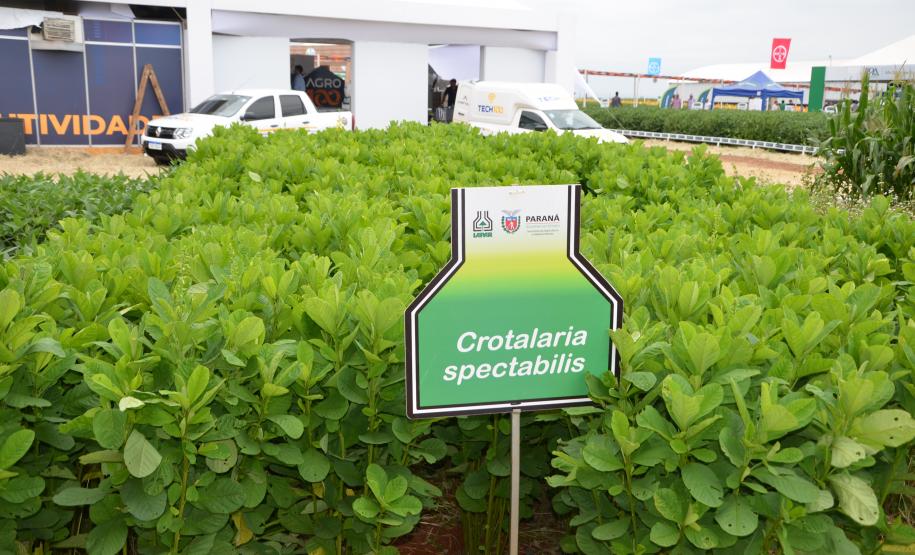 Dois eventos, a Safratec, em Floresta, e o Superagro, em Londrina, foram acompanhados por integrantes do Governo do Estado.