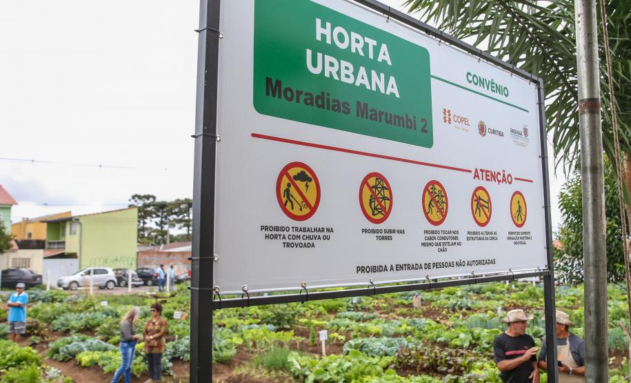 Uberaba ganha unidade do programa Hortas Comunitárias