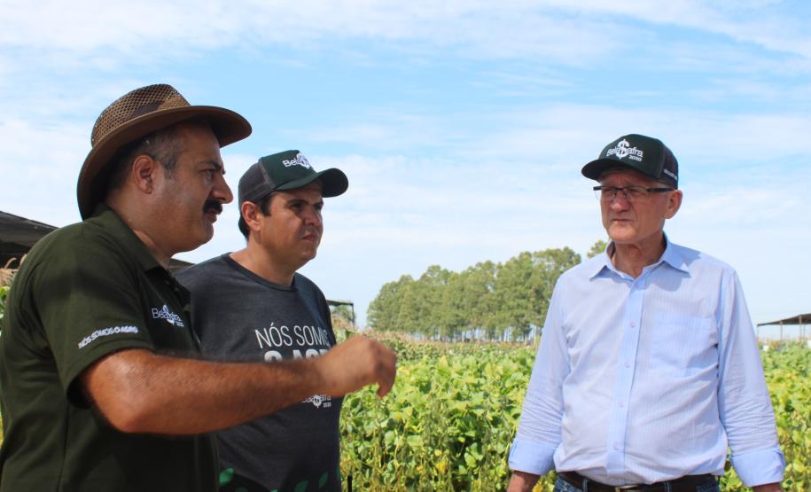 Dia de campo mostra novidades tecnológicas para o agronegócio