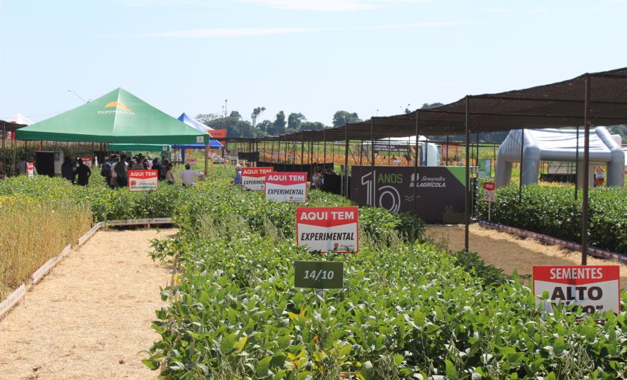 Dia de campo mostra novidades tecnológicas para o agronegócio