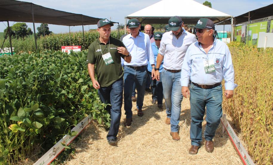 Dia de campo mostra novidades tecnológicas para o agronegócio