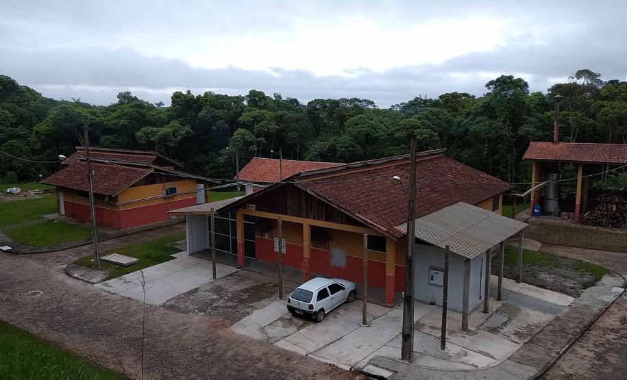 Programa Leite das Crianças garante renda para 5 mil produtores