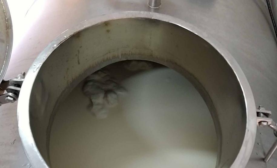 Programa Leite das Crianças garante renda para 5 mil produtores