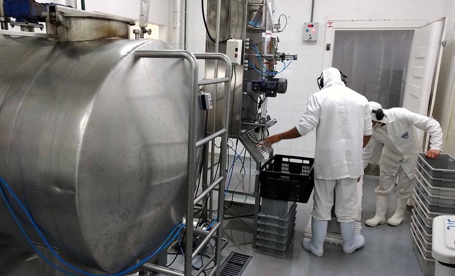 Programa Leite das Crianças garante renda para 5 mil produtores