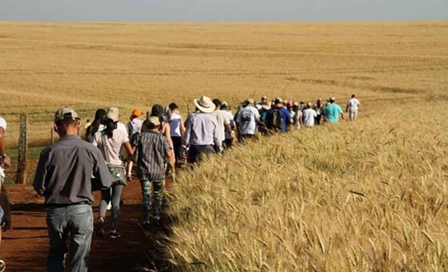 Caminhadas na Natureza terão 160 circuitos no Paraná neste ano