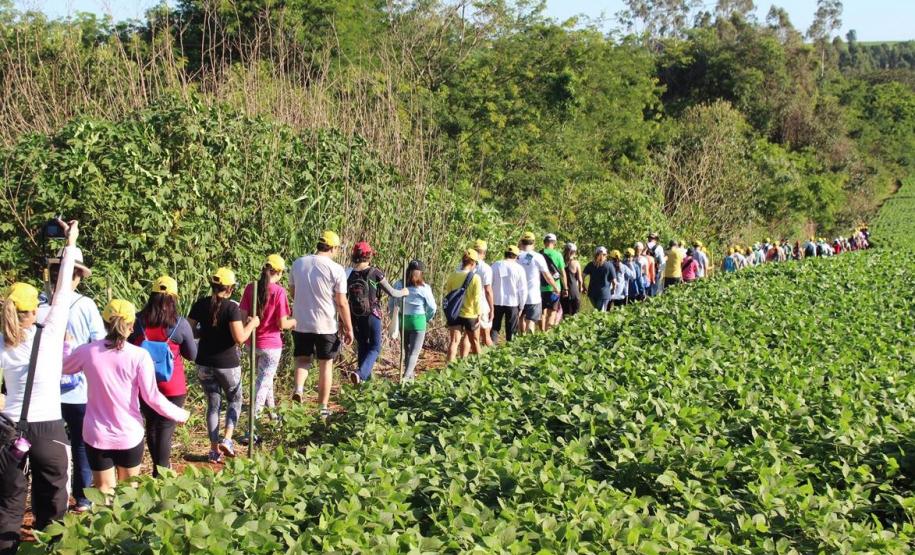 Caminhadas na Natureza terão 160 circuitos no Paraná neste ano