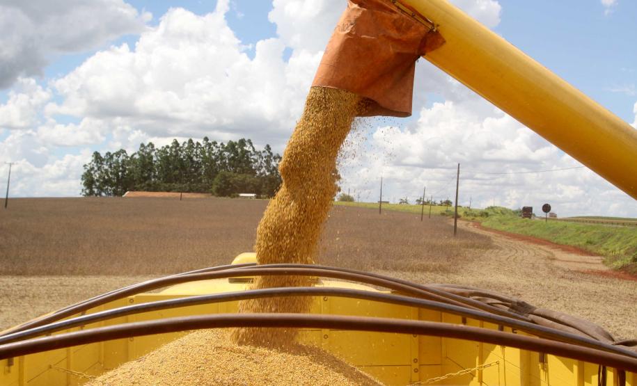 Paraná deve produzir 23,4 milhões de toneladas de grãos