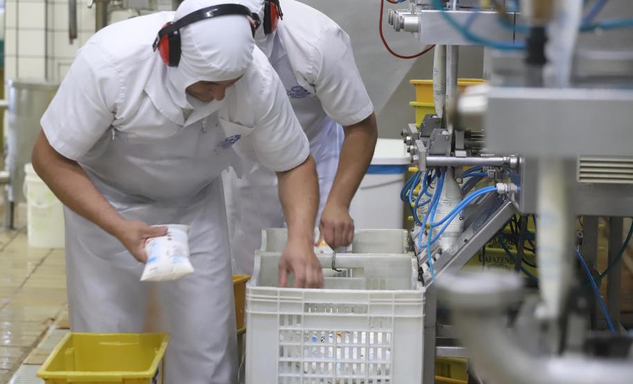 Leite das Crianças garante renda para 5 mil produtores