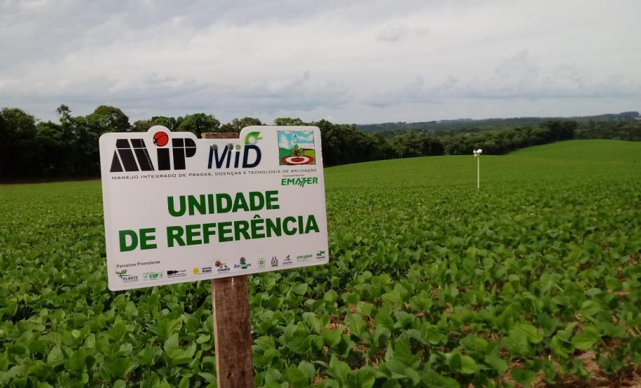 Sistema Alerta Ferrugem reduz aplicação de fungicidas em 35%