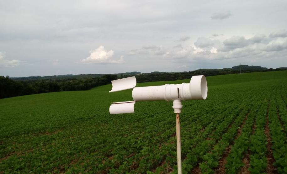 Sistema Alerta Ferrugem reduz aplicação de fungicidas em 35%