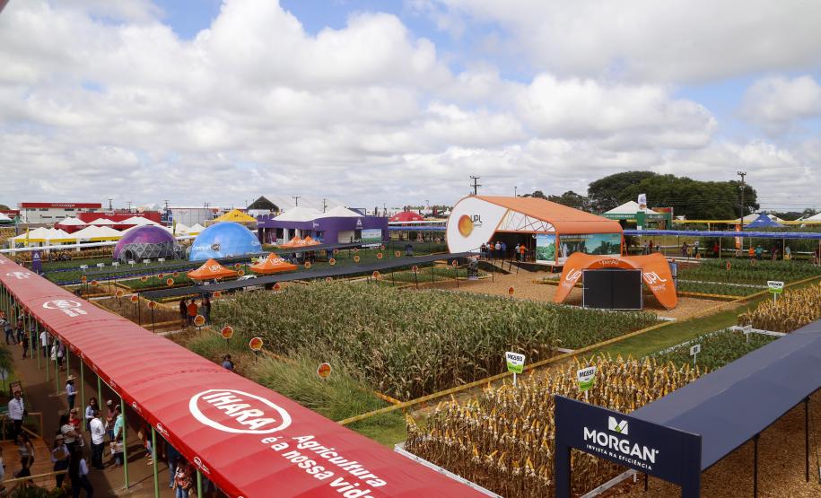 Parceria entre Ceasa e Federação dos Trabalhadores Rurais Agricultores Familiares do Paraná beneficia produtores