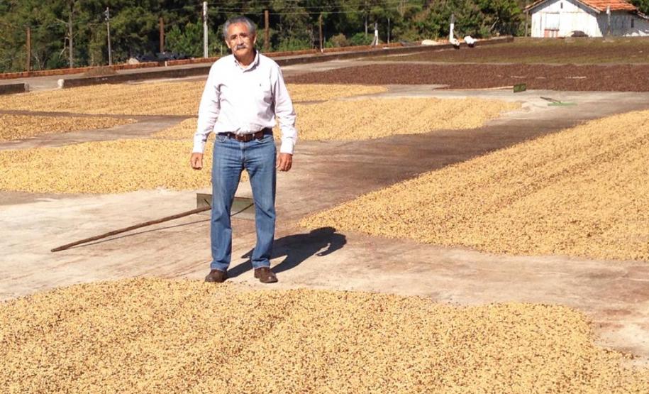 Café especial paranaense é premiado em concurso nacional