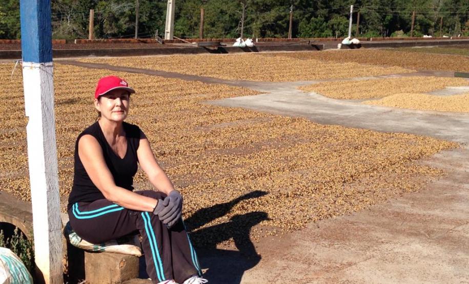 Café especial paranaense é premiado em concurso nacional