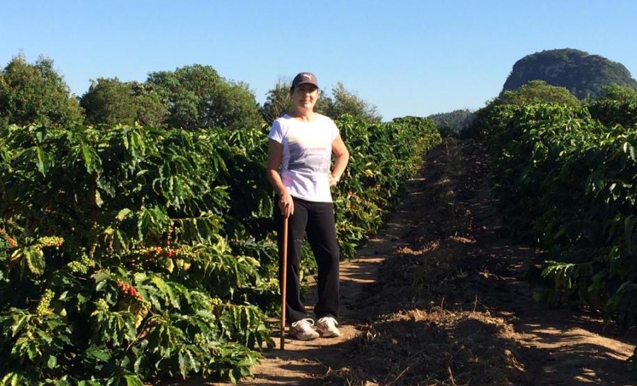 Café especial paranaense é premiado em concurso nacional