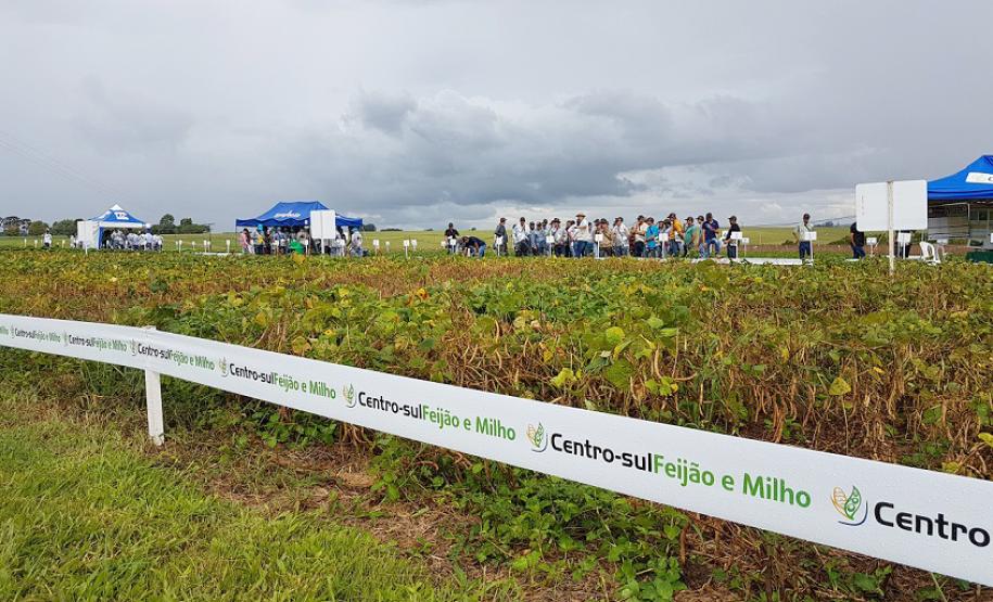 Semana de Campo reúne produtores de feijão e milho