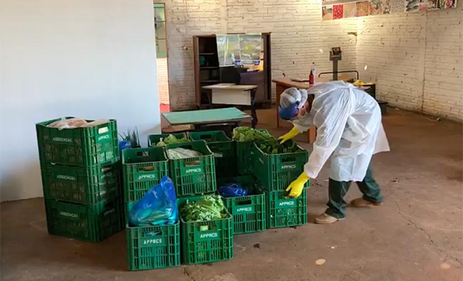 Agricultores adotam medidas de segurança