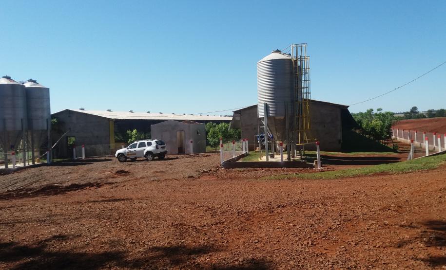 Adapar mantém ritmo para garantir status sanitário e alimentos