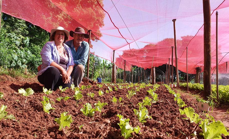 Investimento qualificado gera frutos para agricultores familiares