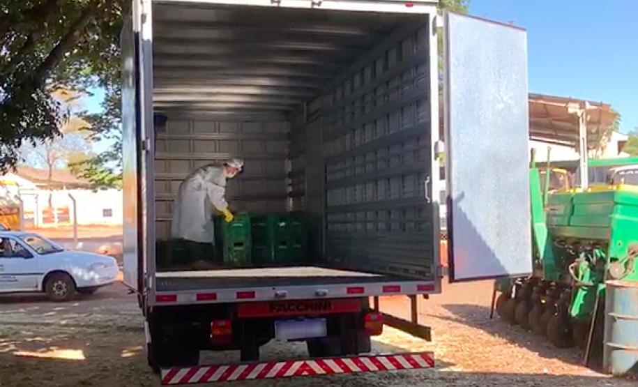 Agricultores adotam medidas de segurança