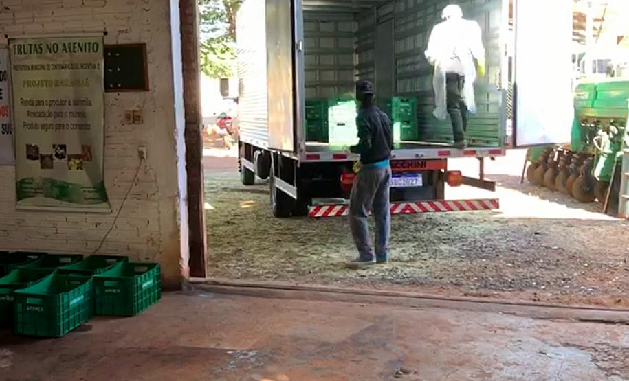 Agricultores adotam medidas de segurança