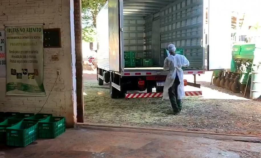 Agricultores adotam medidas de segurança