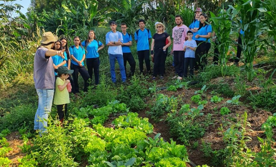 Tecnologia ajuda agricultura familiar a manter a venda de produtos