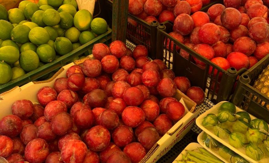 Tecnologia ajuda agricultura familiar a manter a venda de produtos