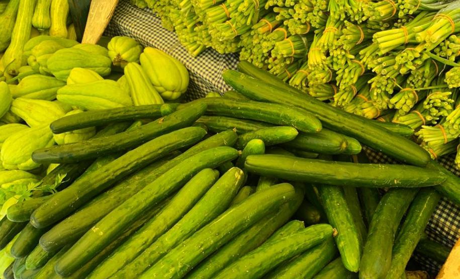 Tecnologia ajuda agricultura familiar a manter a venda de produtos