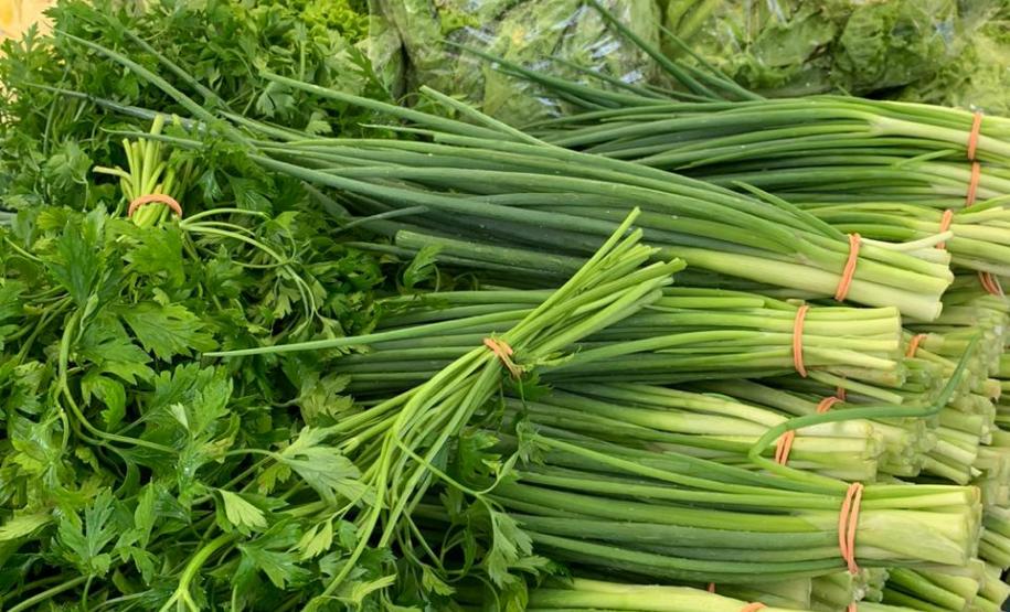 Tecnologia ajuda agricultura familiar a manter a venda de produtos