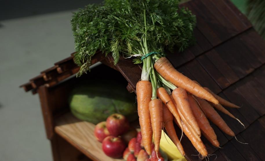 Tecnologia ajuda agricultura familiar a manter a venda de produtos