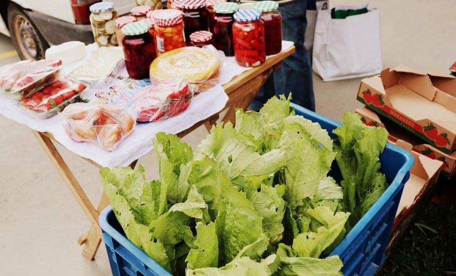 Tecnologia ajuda agricultura familiar a manter a venda de produtos