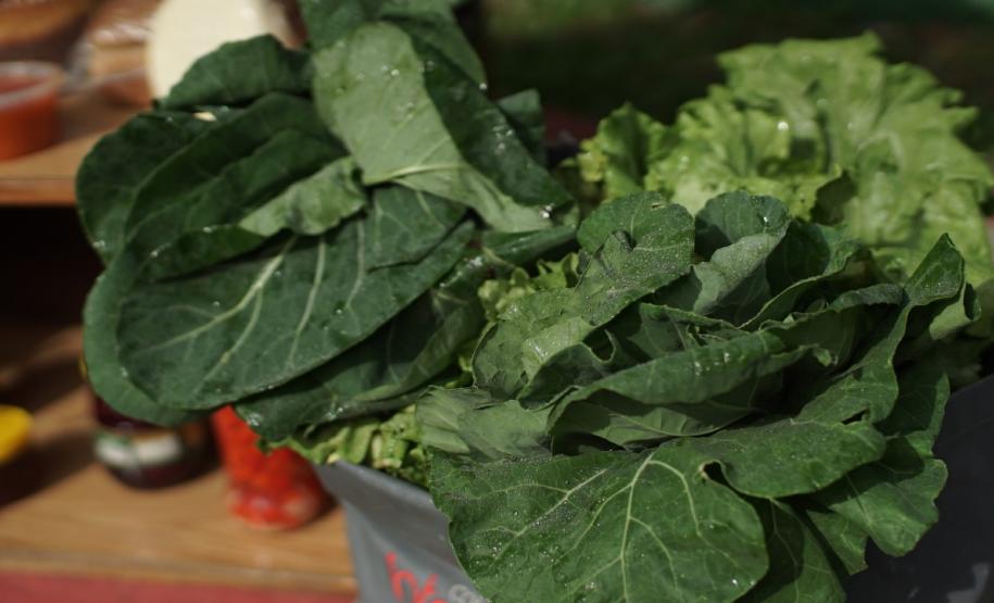 Tecnologia ajuda agricultura familiar a manter a venda de produtos