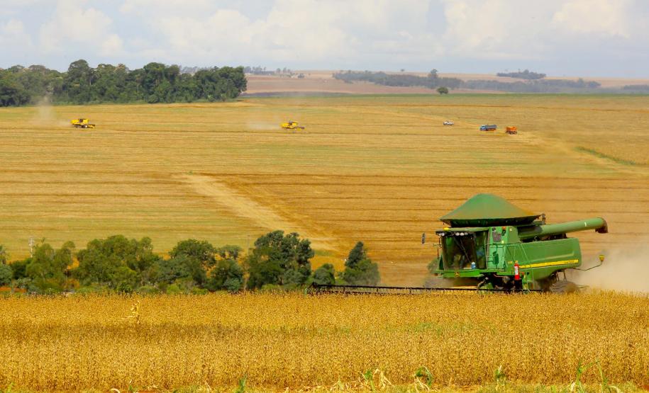 Safra de grãos do Paraná deve atingir 41 milhões de toneladas