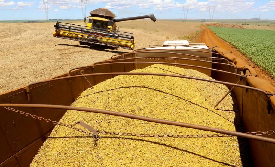 Paraná estima safra de grãos acima de 40 milhões de toneladas