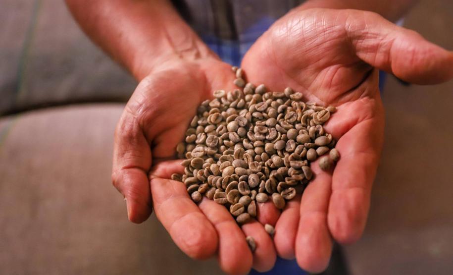 Concurso Café Qualidade Paraná abre período de inscrições