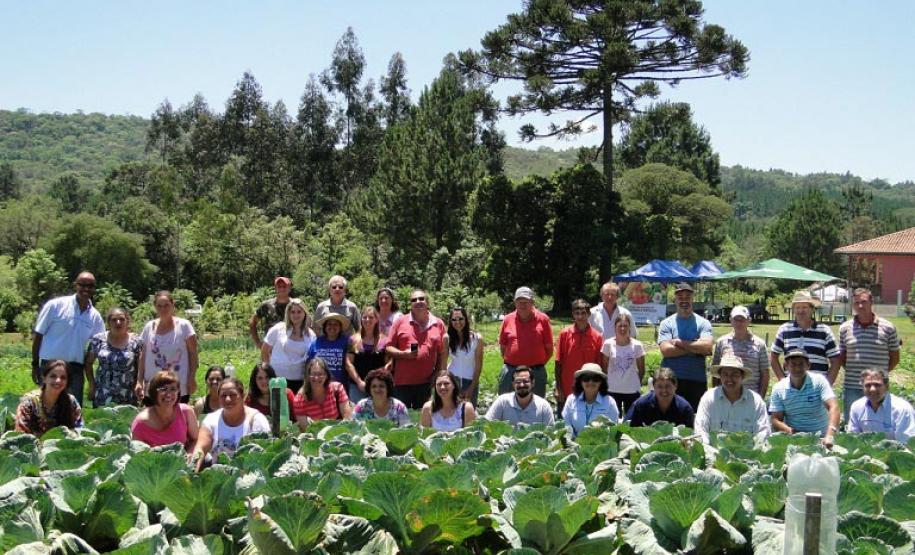 Projeto incrementa cadeia de hortifrútis e aumenta a renda de agricultores