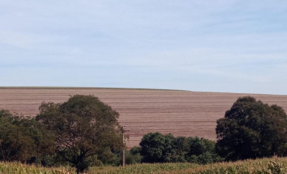 Vazio sanitário da soja começa em 10 de junho
