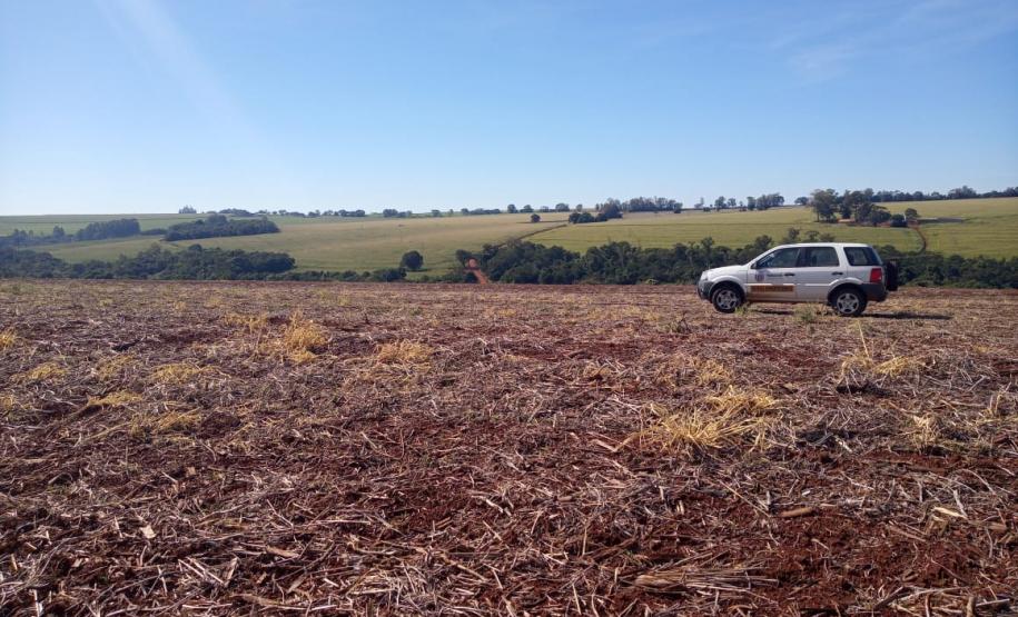 Vazio sanitário da soja começa em 10 de junho