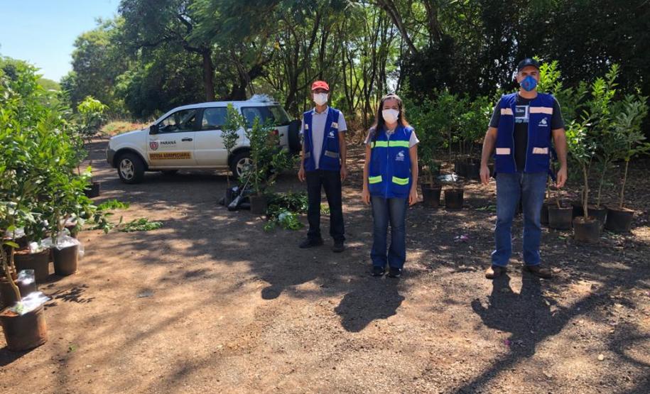 Ações de defesa vegetal garantem segurança alimentar na pandemia