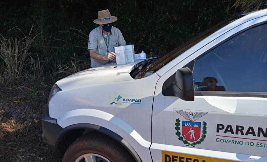 Ações de defesa vegetal garantem segurança alimentar na pandemia