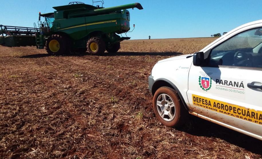 Ações de defesa vegetal garantem segurança alimentar na pandemia
