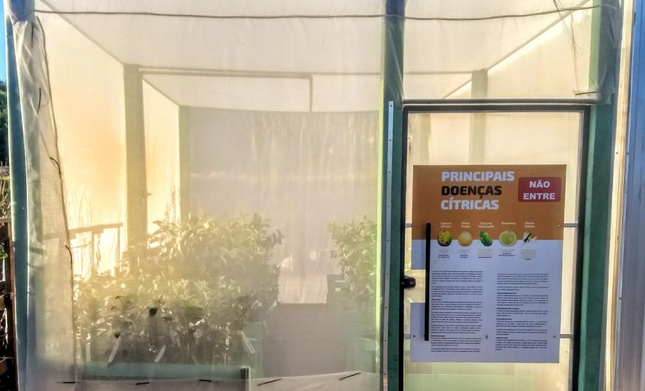 Ações de defesa vegetal garantem segurança alimentar na pandemia