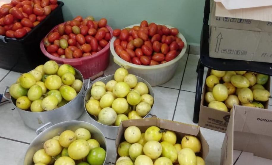 Alvorada do Sul - Cooperativa da Agricultura Familiar Solidária (Coafas)