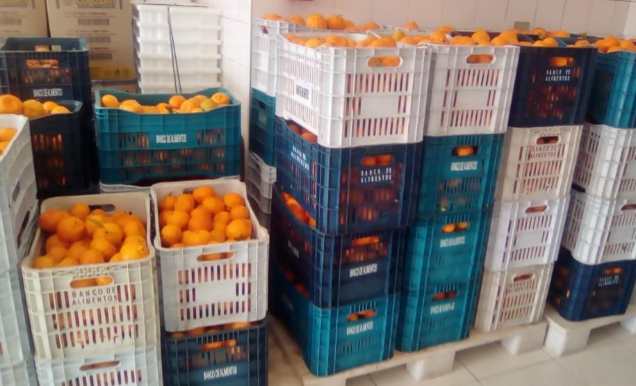 Curitiba - Banco de Alimentos da Ceasa